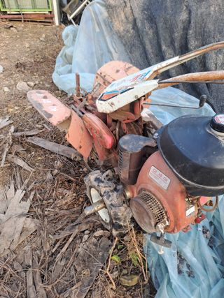 손정식님의 자유주제 · 자유게시판 작성글 사진