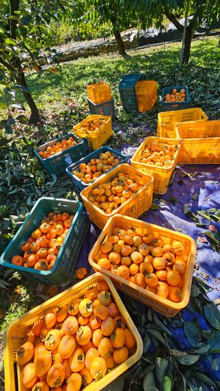 배성은365님의 자유주제 · 자유게시판 작성글 사진