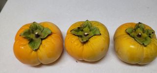 육우진님의 자유주제 · 자유게시판 작성글 사진