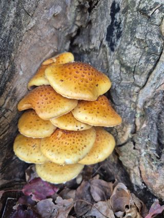 가인 5362님의 자유주제 · 자유게시판 작성글 사진