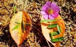 MSG0074님의 자유주제 · 자유게시판 작성글 사진