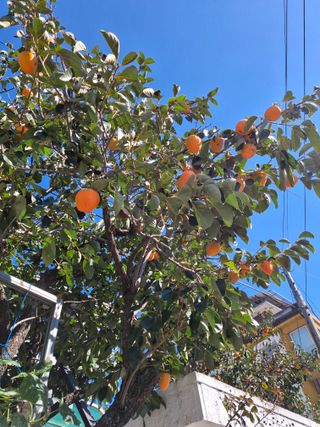 MSG0074님의 자유주제 · 자유게시판 작성글 사진