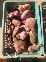 팜모닝 자유주제·자유게시판 게시글 이미지