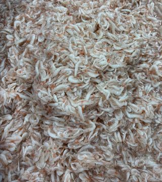 목포 물좋은수산님의 작성글 사진