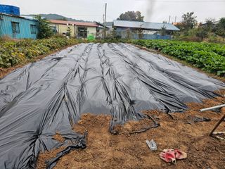황금알대박농원!님의 자유주제 · 자유게시판 작성글 사진