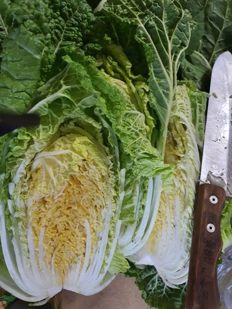 하율아빠 님의 장터 판매 상품 [절임배추20kg] 첨부 사진