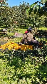 팜모닝 자유주제·자유게시판 게시글 이미지