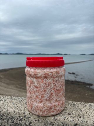 목포 물좋은수산님의 작성글 사진