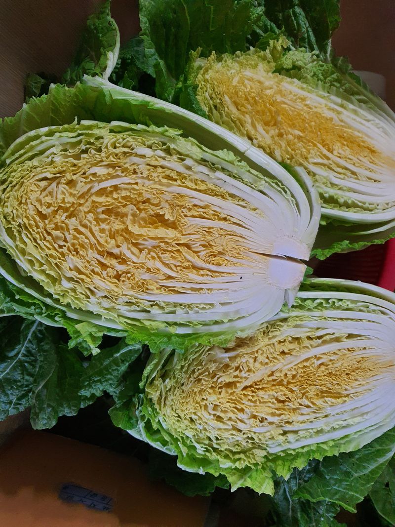 하율아빠 님의 장터 판매 상품 [절임배추20kg] 첨부 사진