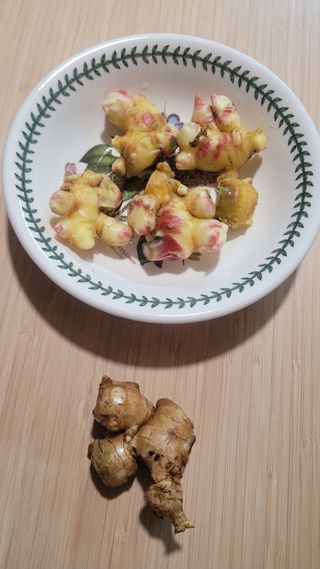 장석오님의 자유주제 · 자유게시판 작성글 사진