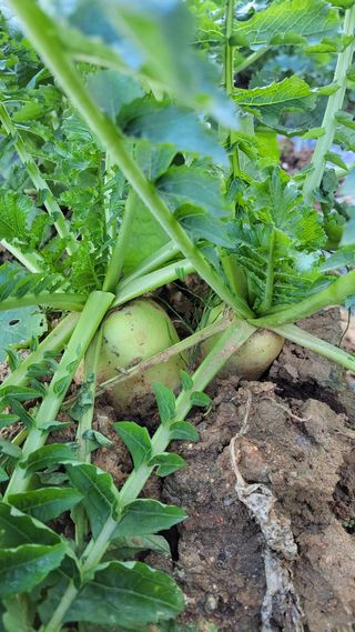 명장박세태님의 자유주제 · 자유게시판 작성글 사진