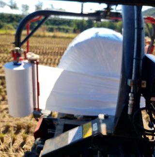 정영기대산축산농부♡님의 자유주제 · 자유게시판 작성글 사진