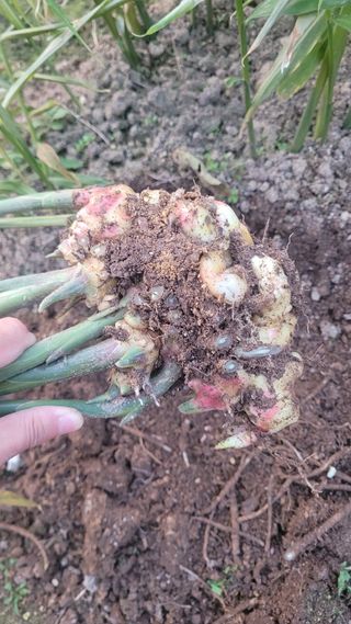 장석오님의 자유주제 · 자유게시판 작성글 사진