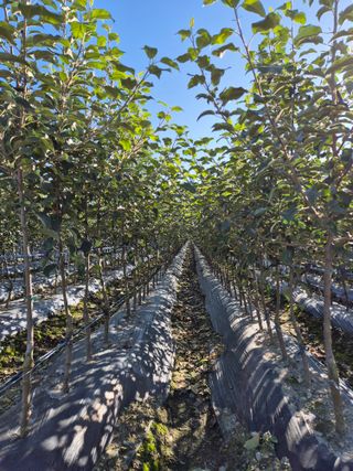 우리농원님의 자유주제 · 자유게시판 작성글 사진