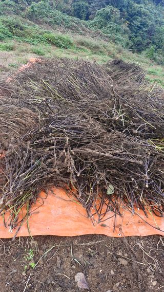 정석구님의 자유주제 · 자유게시판 작성글 사진