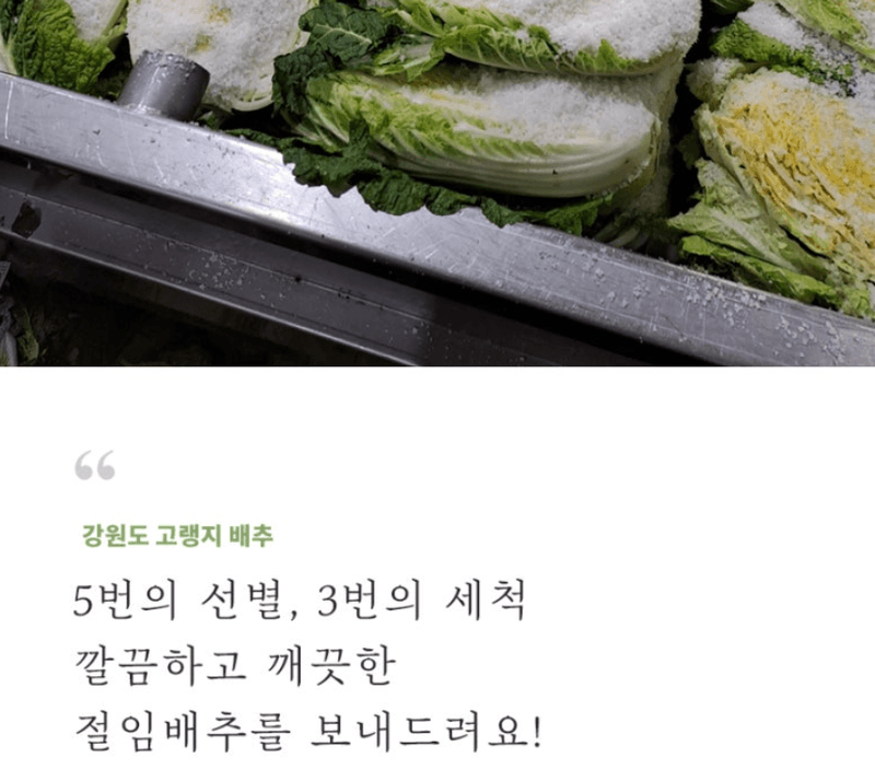 스피드번님의 장터 판매 상품 [강원도 평창 고랭지 절임배추] 첨부 사진