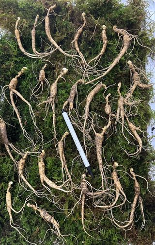 진상빈님의 작성글 사진