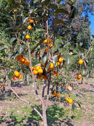 MSG0074님의 자유주제 · 자유게시판 작성글 사진