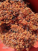 팜모닝 · 게시글 이미지