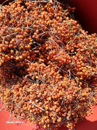 바위돌 심재성님의 작성글 사진