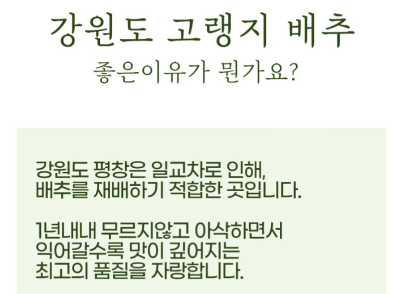 스피드번님의 장터 판매 상품 [강원도 평창 고랭지 절임배추] 첨부 사진