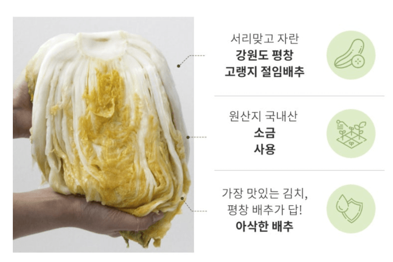 스피드번님의 장터 판매 상품 [강원도 평창 고랭지 절임배추] 첨부 사진