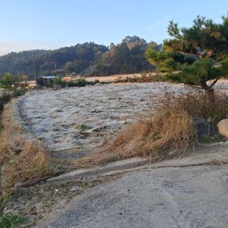 오영도님의 자유주제 · 자유게시판 작성글 사진