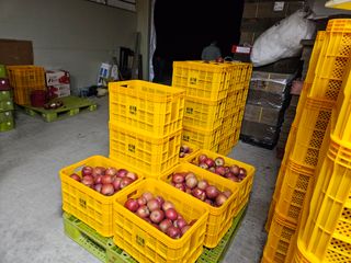 손기홍님의 작성글 사진