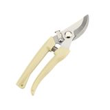 팜모닝 · 게시글 이미지