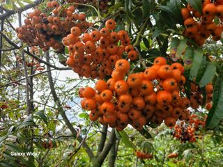 바위돌 심재성님의 작성글 사진