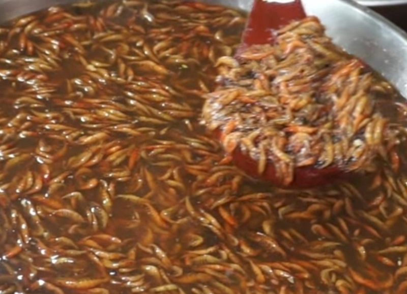 장금이1님의 장터 판매 상품 [수제토하젓 500g 2병] 첨부 사진