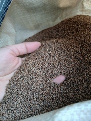 SARIFUDIN YASINTA MARYAMA님의 자유주제 · 자유게시판 작성글 사진