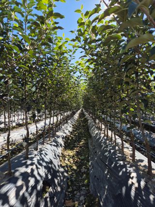 우리농원님의 자유주제 · 자유게시판 작성글 사진