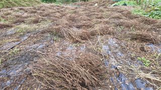 정석구님의 자유주제 · 자유게시판 작성글 사진