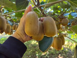 노고단님의 자유주제 · 자유게시판 작성글 사진