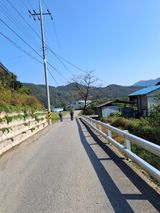 팜모닝 자유주제·자유게시판 게시글 이미지