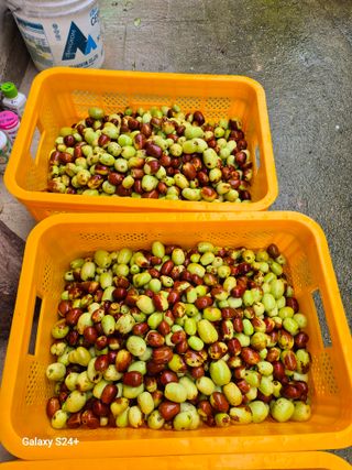 전홍열님의 자유주제 · 건의해요 작성글 사진