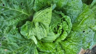 명장박세태님의 자유주제 · 자유게시판 작성글 사진