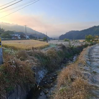 오영도님의 자유주제 · 자유게시판 작성글 사진