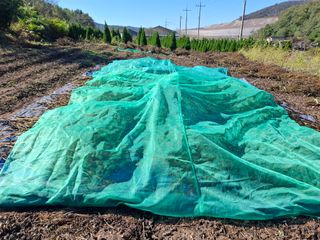 돈나무 님의 자유주제 · 자유게시판 작성글 사진