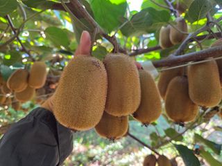 노고단님의 자유주제 · 자유게시판 작성글 사진