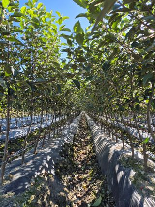 우리농원님의 자유주제 · 자유게시판 작성글 사진