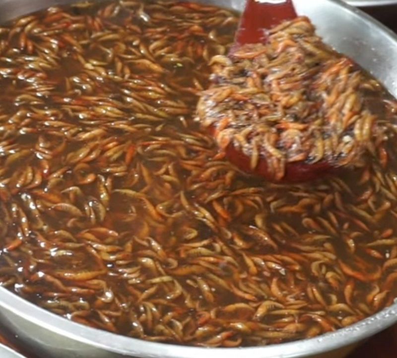 장금이1님의 장터 판매 상품 [수제토하젓 500g 2병] 첨부 사진