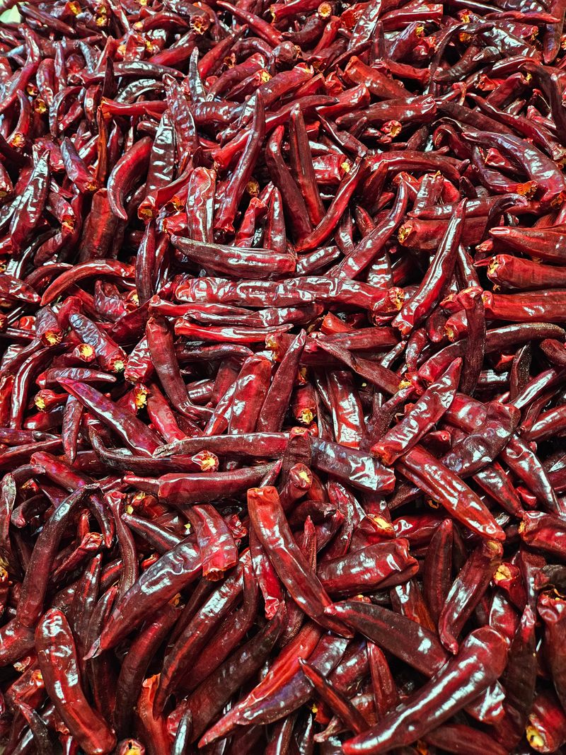 스마일님의 장터 판매 상품 [태양초고추가루] 첨부 사진