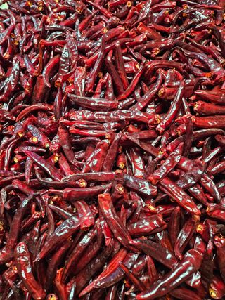 스마일님의 작성글 사진