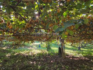 노고단님의 자유주제 · 자유게시판 작성글 사진