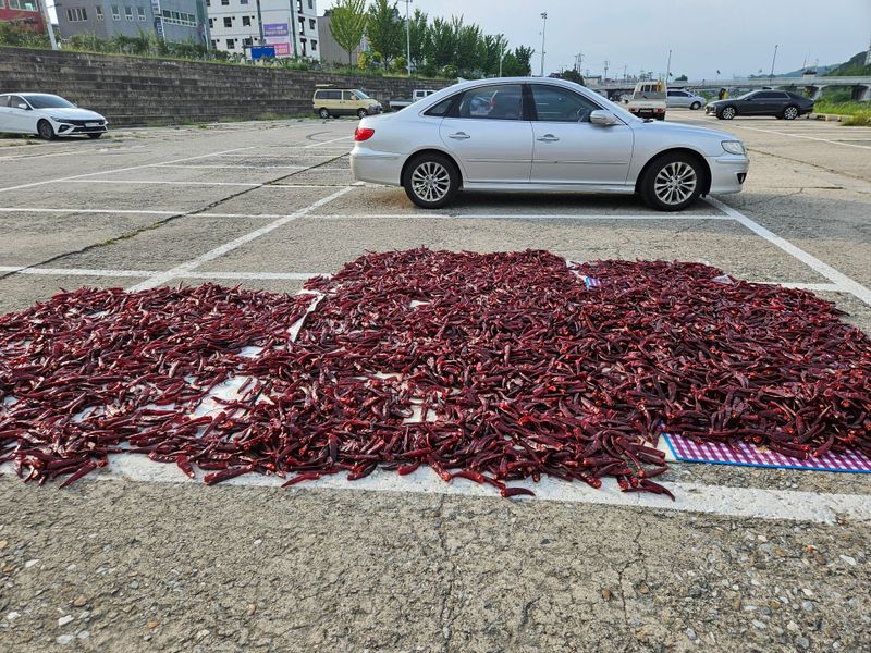 스마일님의 장터 판매 상품 [태양초고추가루] 첨부 사진