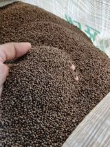 팜모닝 자유주제·자유게시판 게시글 이미지