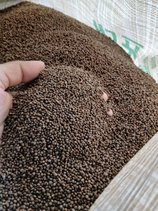 SARIFUDIN YASINTA MARYAMA님의 자유주제 · 자유게시판 작성글 사진