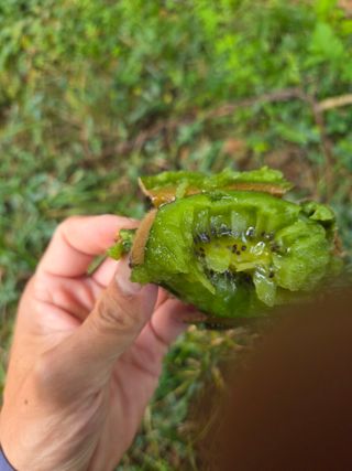 노고단님의 자유주제 · 자유게시판 작성글 사진